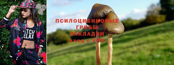 СК Волоколамск
