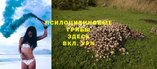 дмт Слюдянка