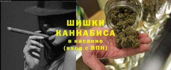 СК Волосово