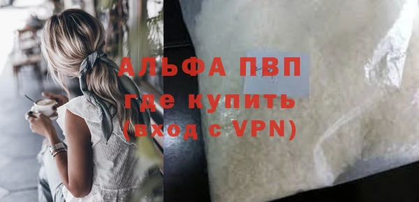 СК Волоколамск