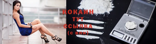 СК Волоколамск