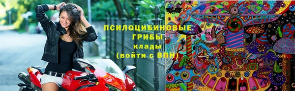 СК Волосово
